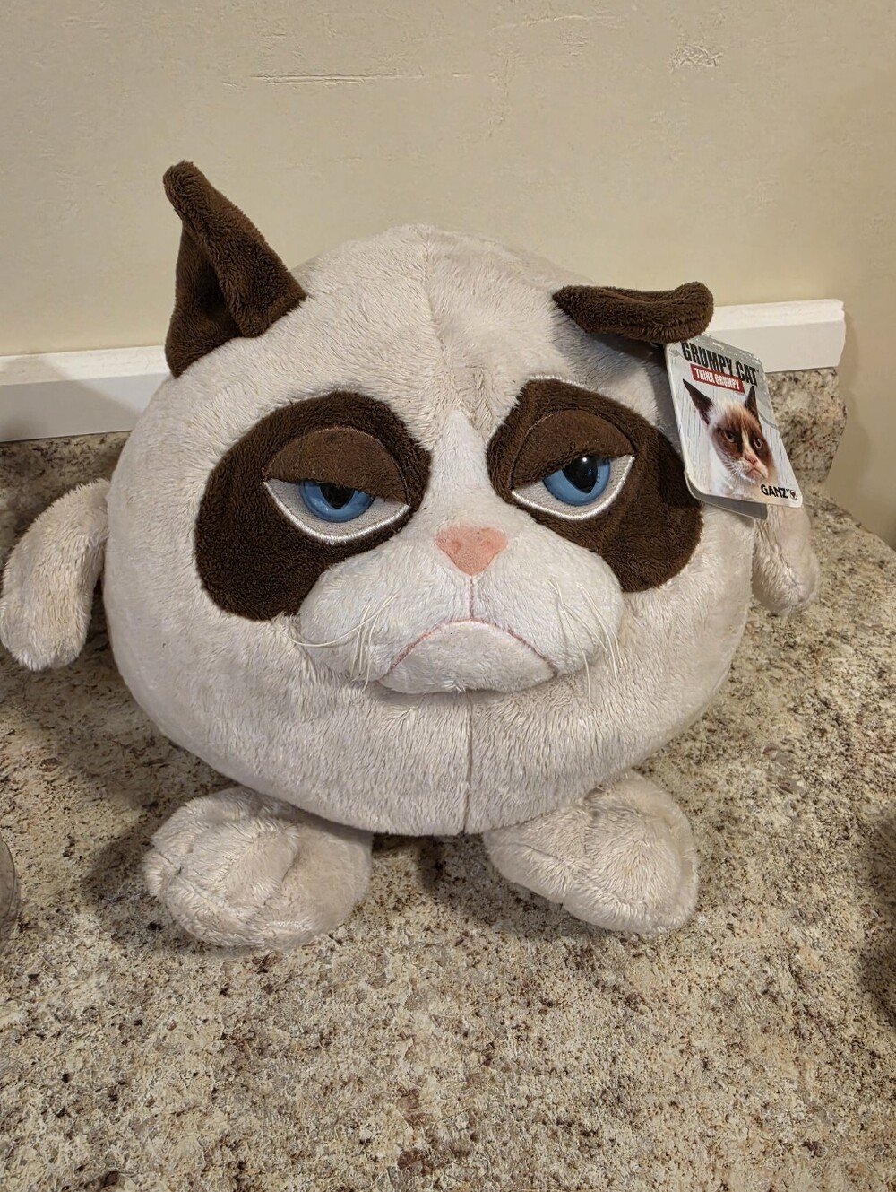 Grumpy Cat Bundle - Picture 4 of 6
